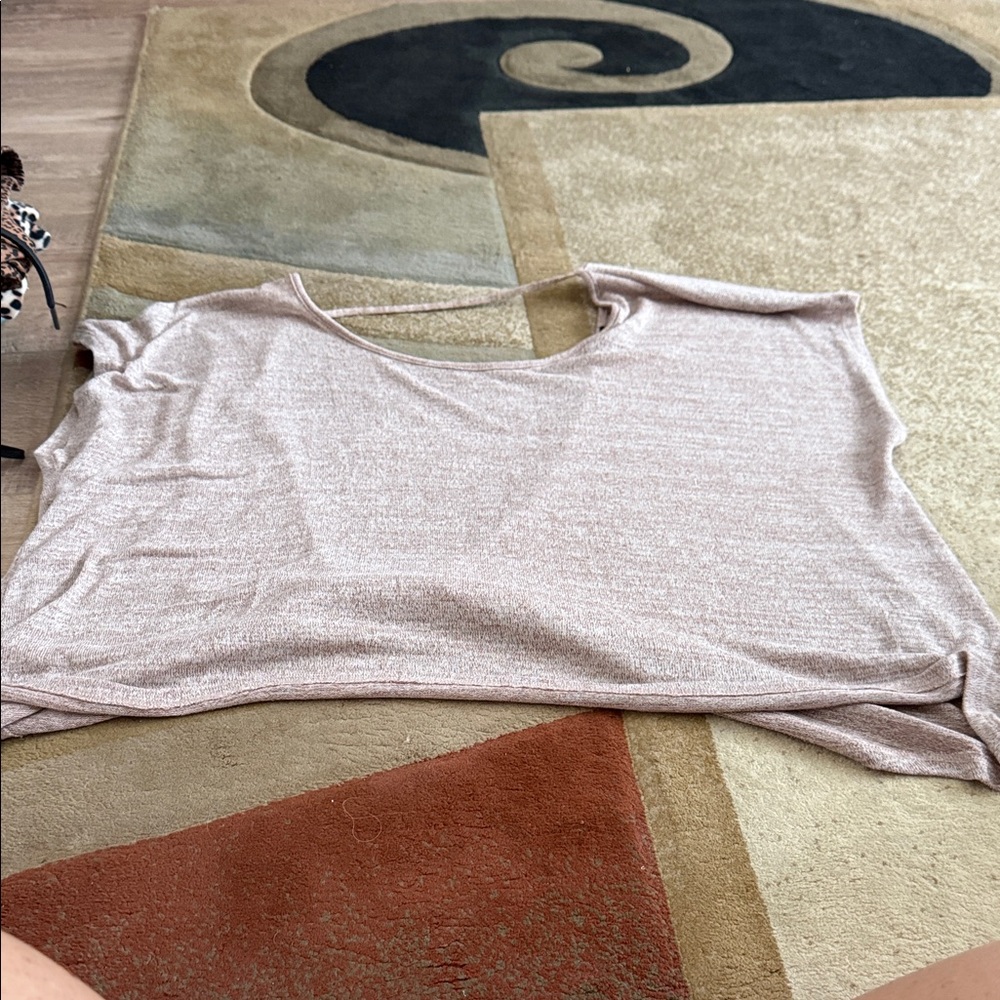 Express Light Pink Crop Top